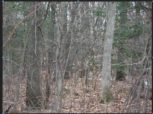 16.5 Acres of Land for Sale in Muskegon, Michigan