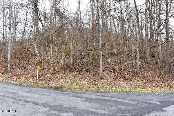3.5 Acres of Land for Sale in Albany, New York