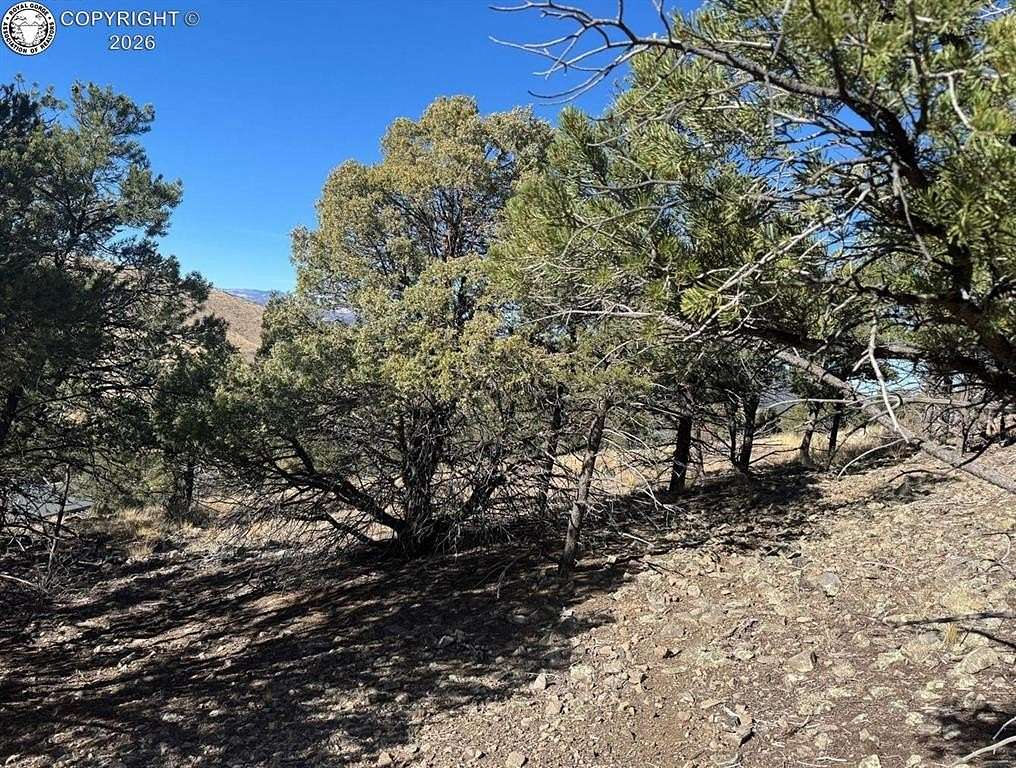 4.83 Acres of Land for Sale in Cotopaxi, Colorado