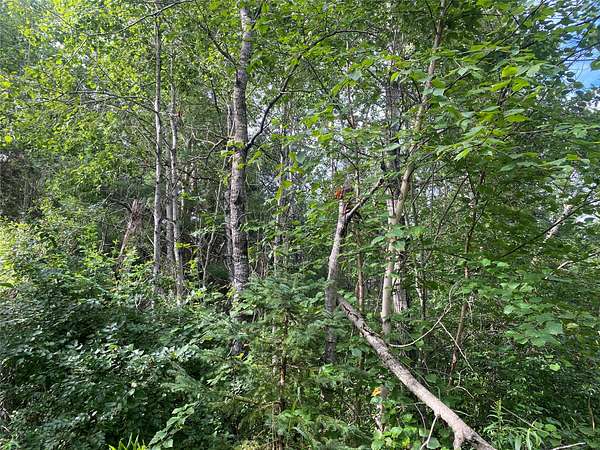 120 Acres of Recreational Land for Sale in Couderay, Wisconsin
