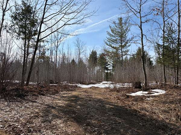 74.8 Acres of Recreational Land for Sale in Park Falls, Wisconsin