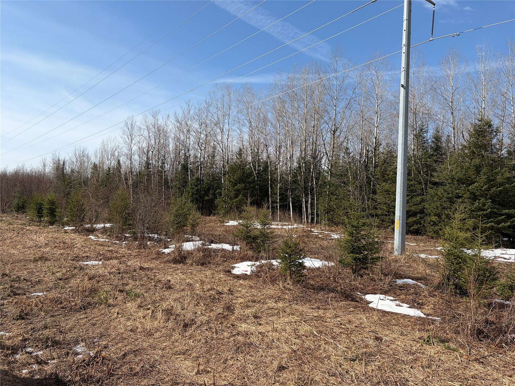 40 Acres of Recreational Land for Sale in Park Falls, Wisconsin