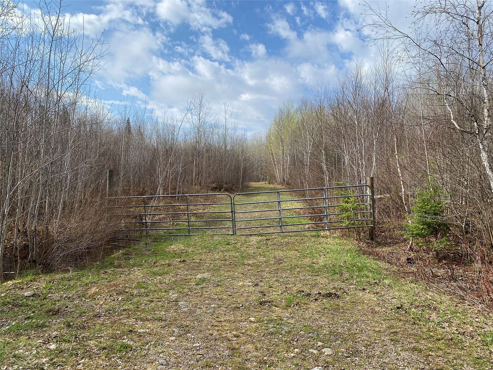 40 Acres of Land for Sale in Phillips, Wisconsin