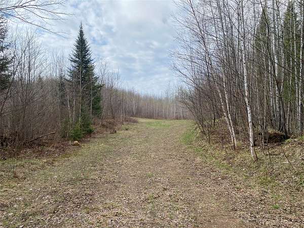 40 Acres of Land for Sale in Phillips, Wisconsin
