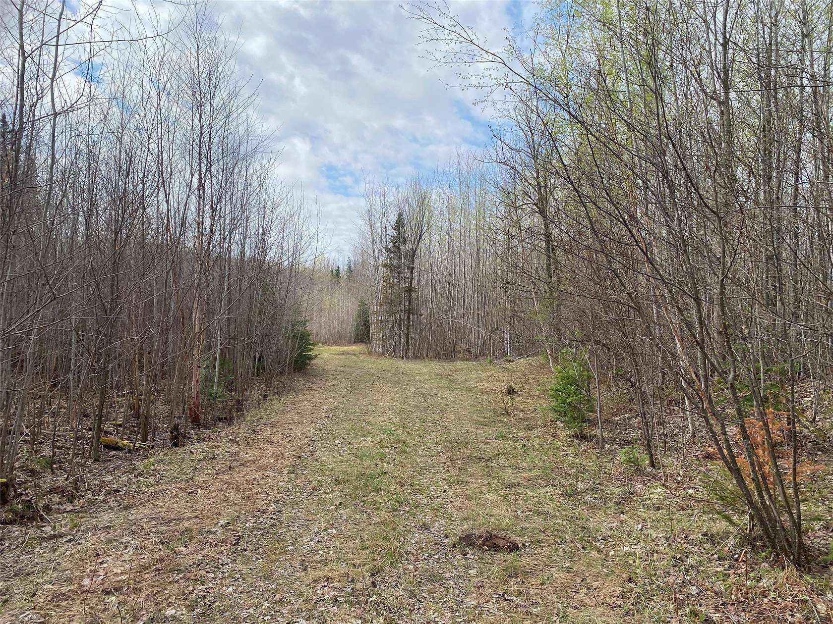 120 Acres of Land for Sale in Phillips, Wisconsin