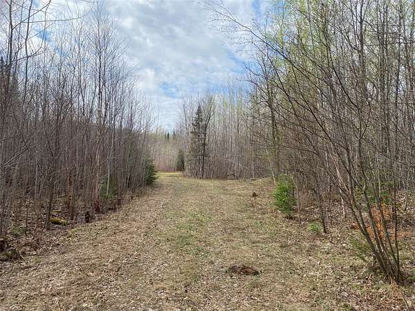 120 Acres of Land for Sale in Phillips, Wisconsin