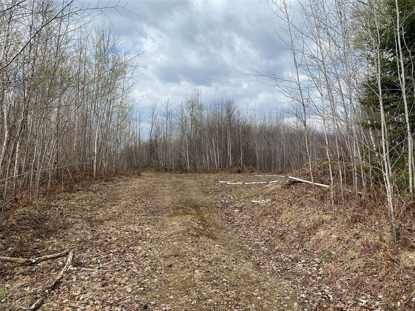 120 Acres of Land for Sale in Phillips, Wisconsin