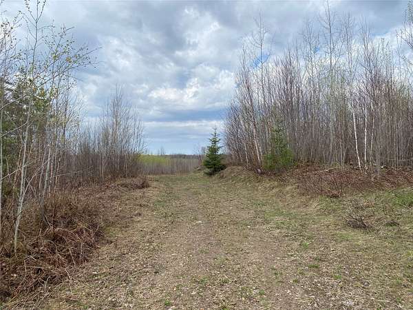 120 Acres of Land for Sale in Phillips, Wisconsin