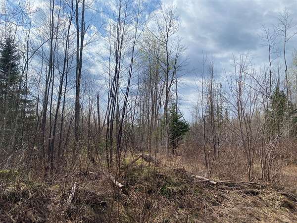 80 Acres of Land for Sale in Phillips, Wisconsin