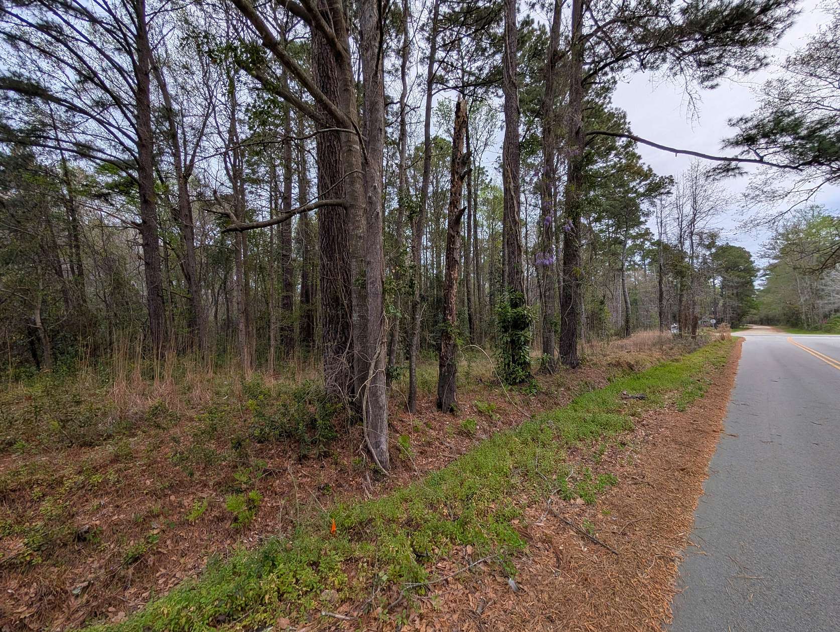 4.65 Acres of Residential Land for Sale in McClellanville, South Carolina