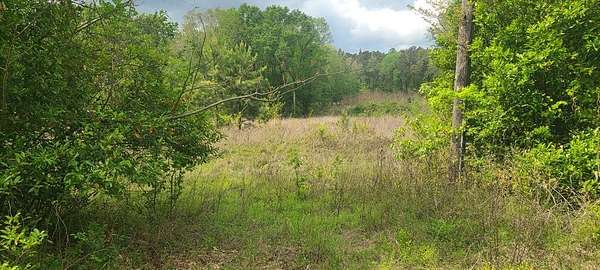 1.9 Acres of Residential Land for Sale in Huntington, Texas