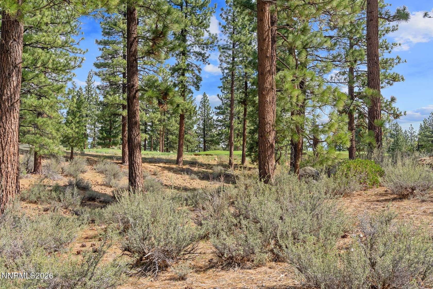 1.46 Acres of Residential Land for Sale in Carson City, Nevada