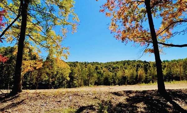8.5 Acres of Residential Land for Sale in Burkesville, Kentucky