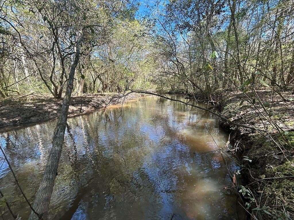 159 Acres of Land for Sale in Slocomb, Alabama