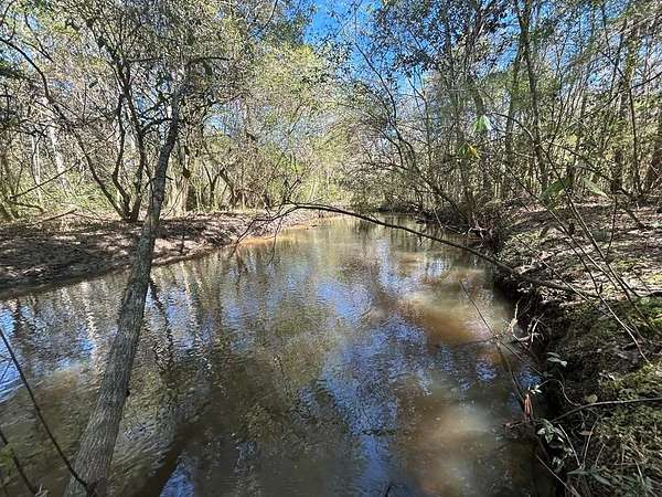 159 Acres of Land for Sale in Slocomb, Alabama