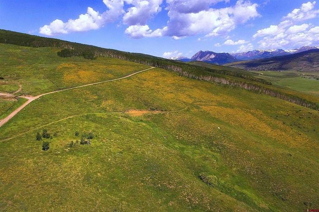 47.3 Acres of Recreational & Residential Land for Sale in Almont, Colorado