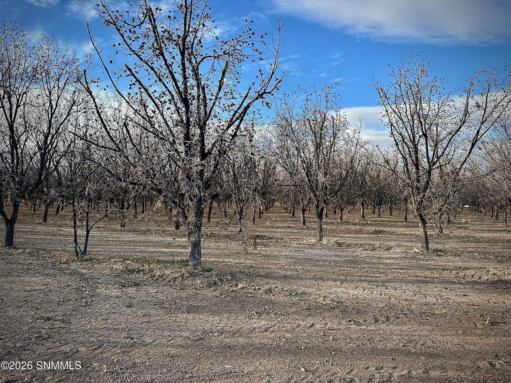 Land for Sale in Anthony, New Mexico