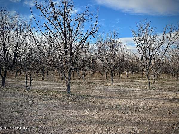 Land for Sale in Anthony, New Mexico