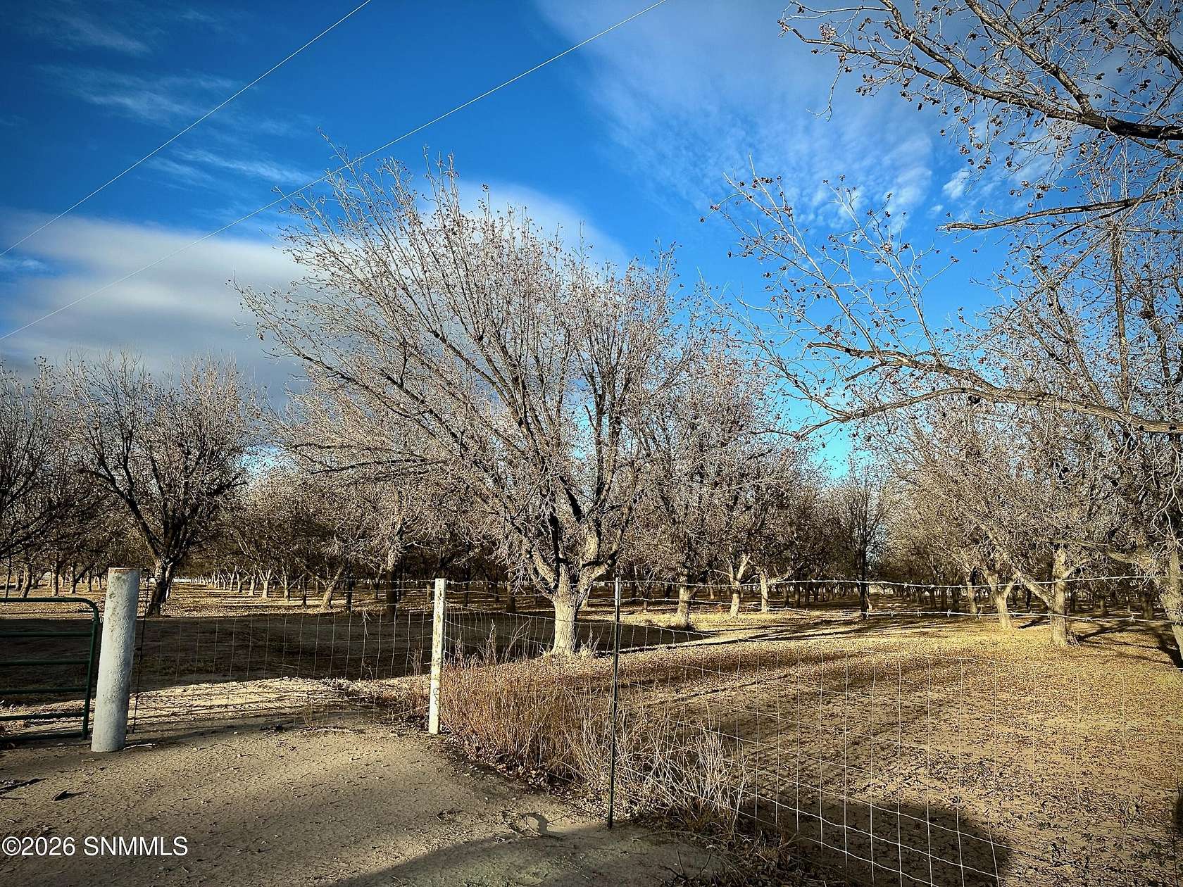 Land for Sale in Anthony, New Mexico