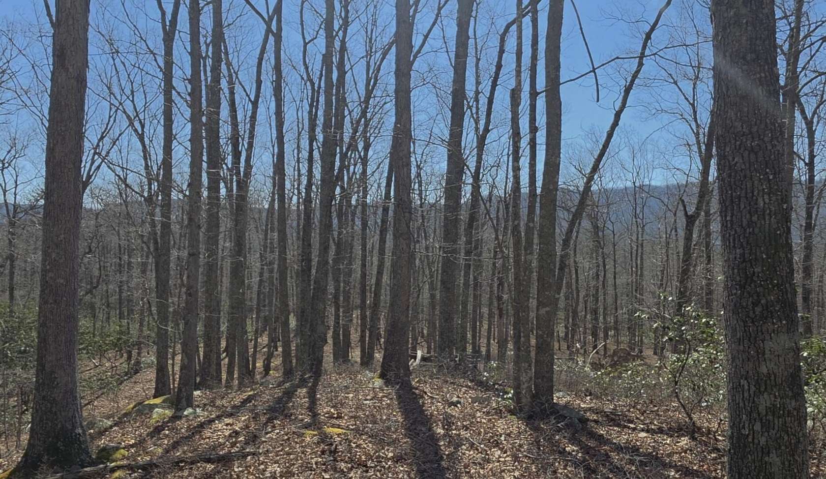 21.3 Acres of Recreational & Residential Land for Sale in Catawba, Virginia