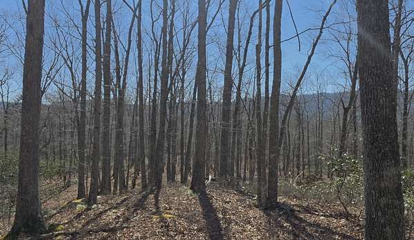 21.3 Acres of Recreational & Residential Land for Sale in Catawba, Virginia