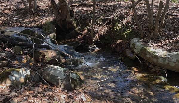 21.3 Acres of Land for Sale in Catawba, Virginia