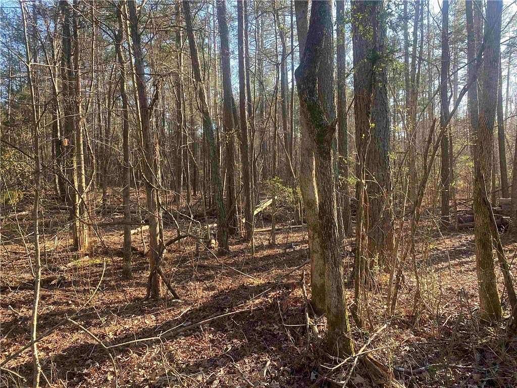 46 Acres of Land for Sale in Buchanan, Georgia