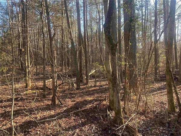 46 Acres of Land for Sale in Buchanan, Georgia