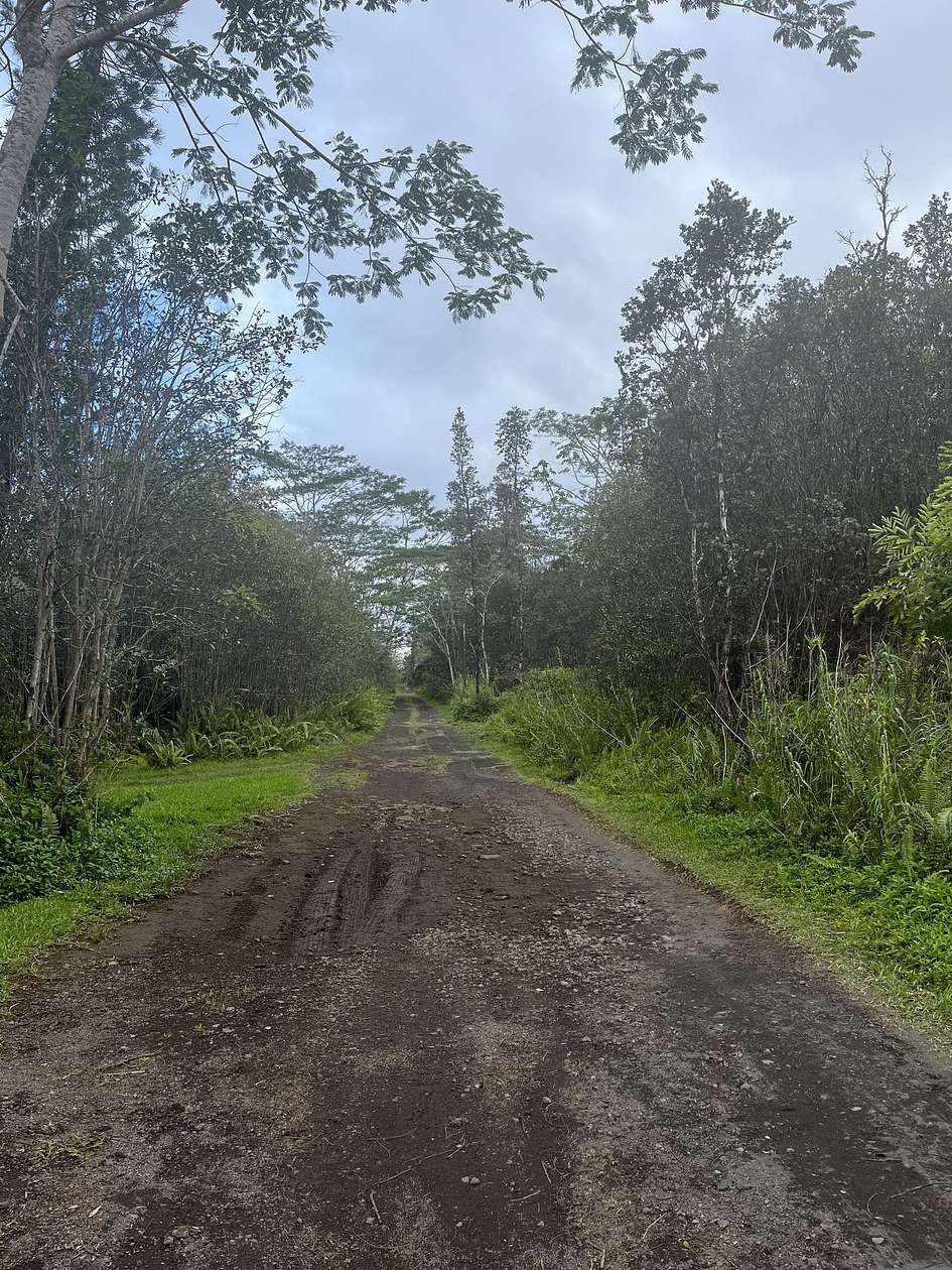 3 Acres of Residential Land for Sale in Kurtistown, Hawaii