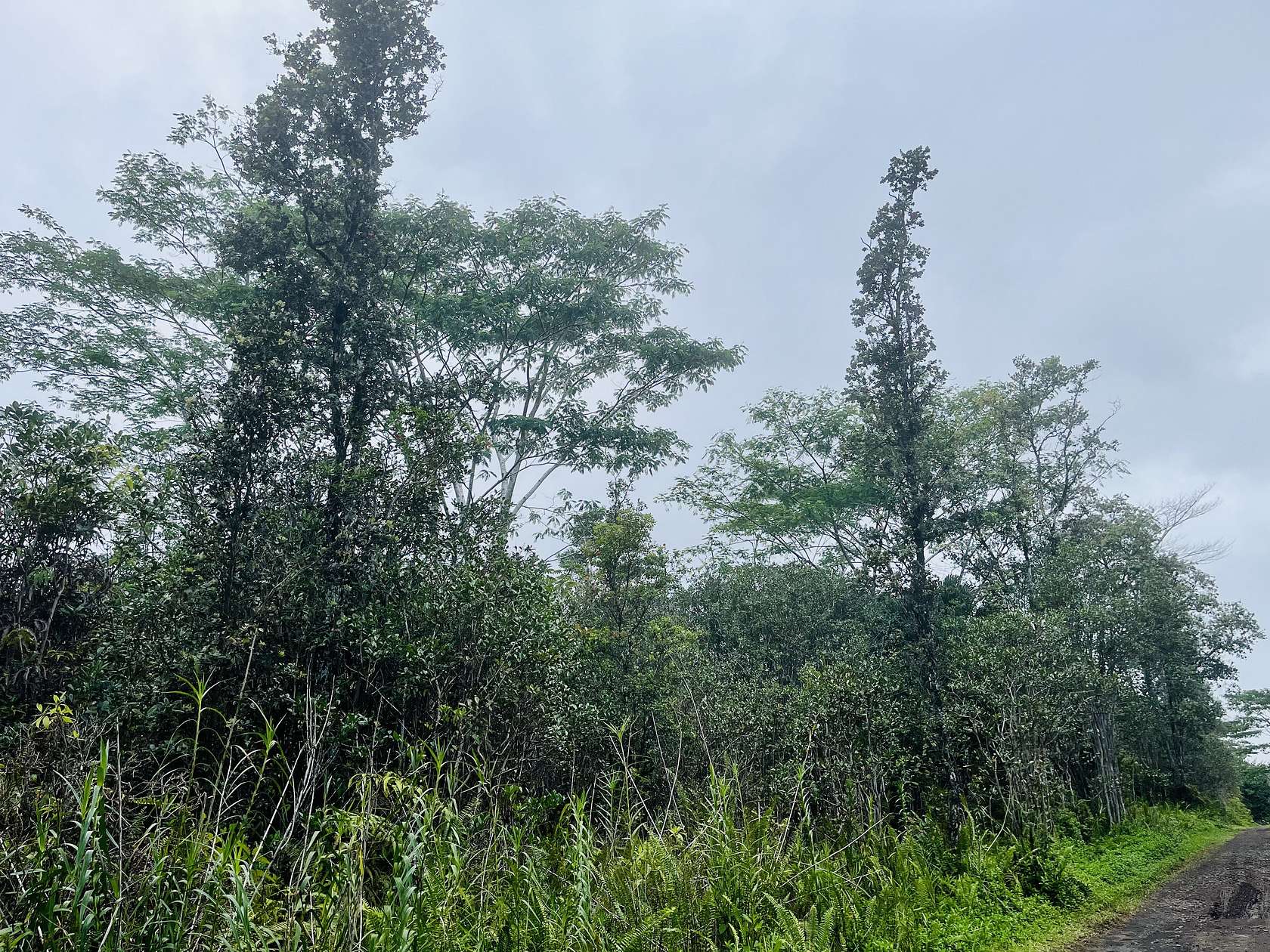 3 Acres of Residential Land for Sale in Kurtistown, Hawaii
