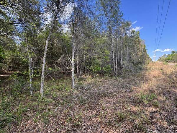 2 Acres of Residential Land for Sale in Rembert, South Carolina