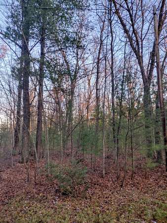 0.34 Acres of Residential Land for Sale in Prescott, Michigan