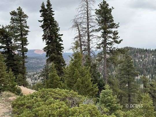 0.58 Acres of Residential Land for Sale in Duck Creek Village, Utah