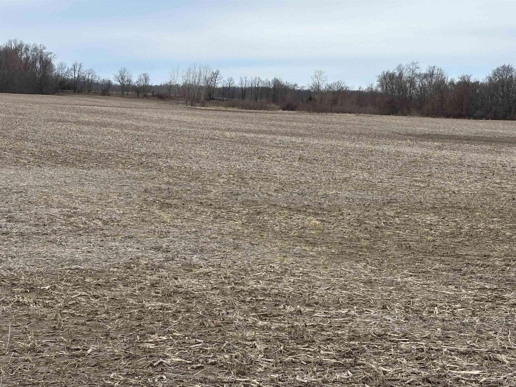 57.4 Acres of Agricultural & Residential Land for Sale in Waterloo, Indiana