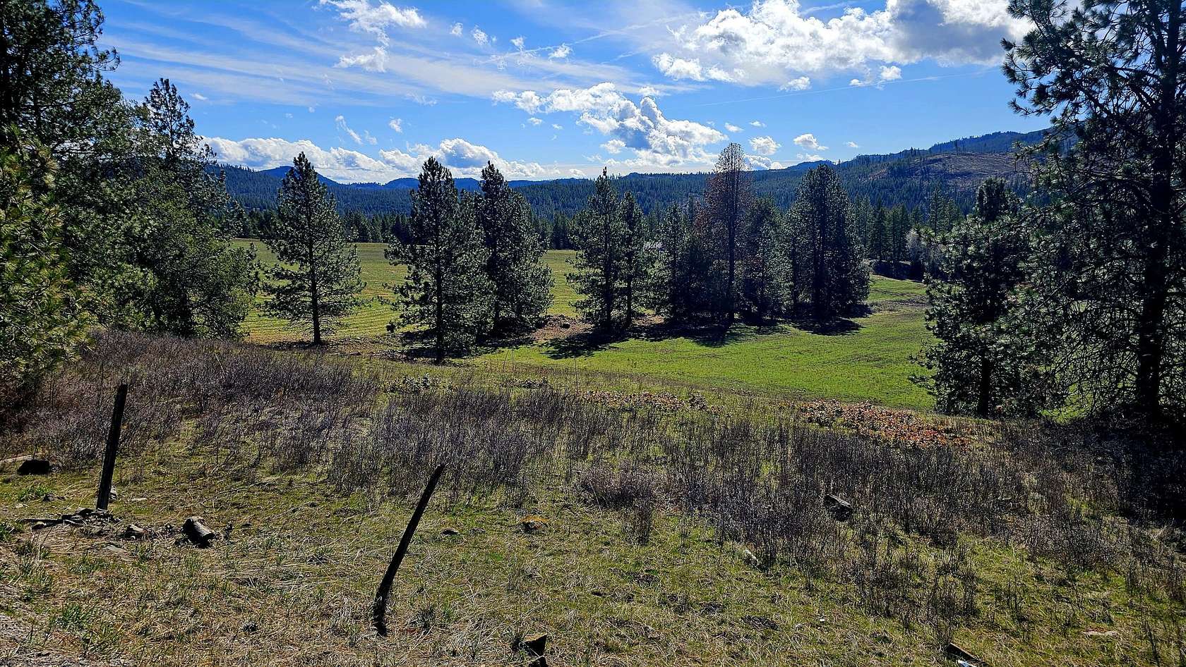 63.1 Acres of Agricultural & Residential Land for Sale in Addy, Washington
