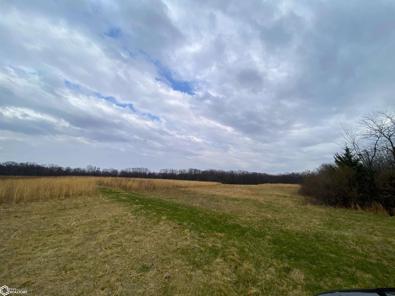 139 Acres of Land for Sale in Mount Pleasant, Iowa