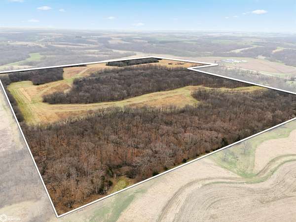139 Acres of Land for Sale in Mount Pleasant, Iowa