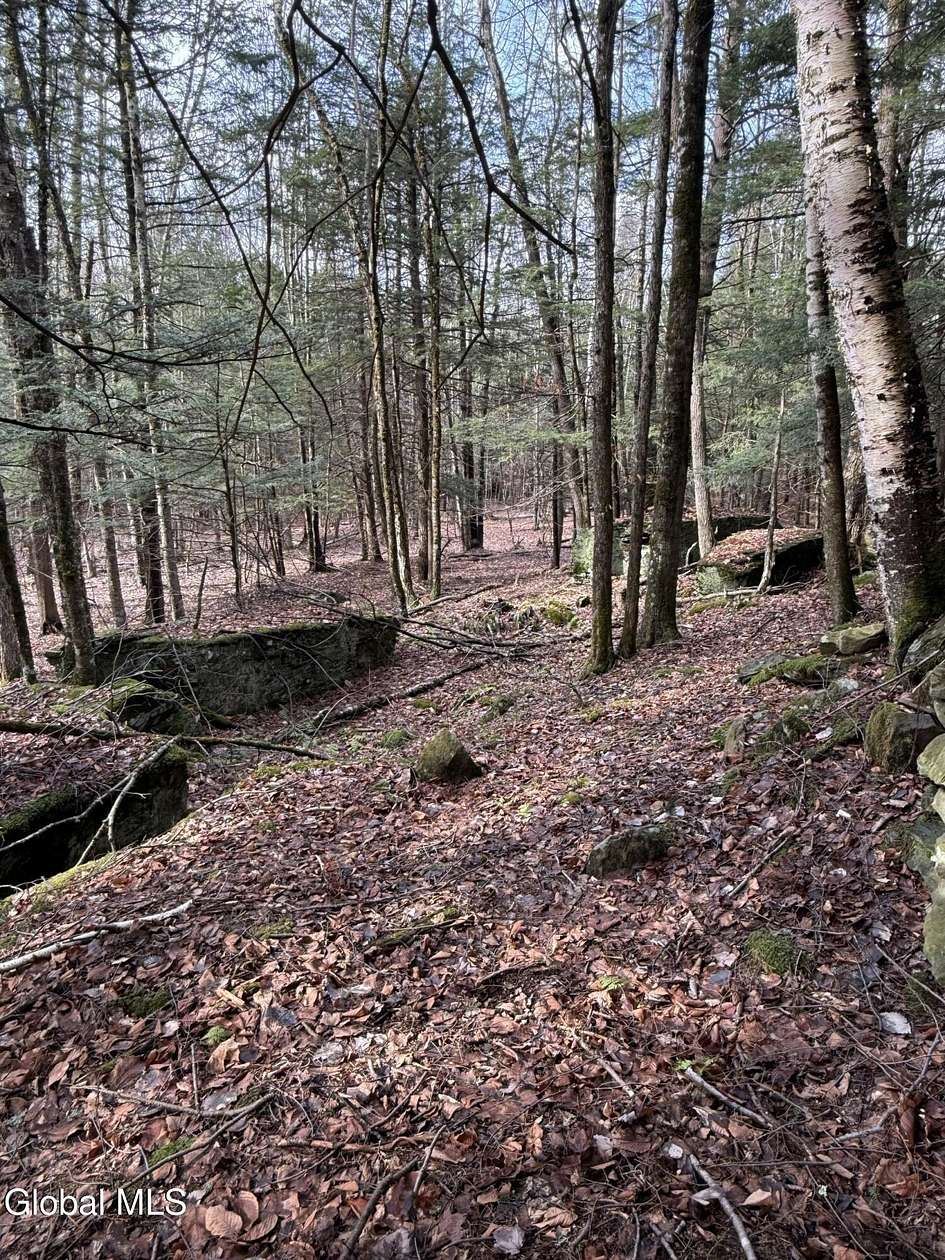 12 Acres of Land for Sale in Gilboa, New York