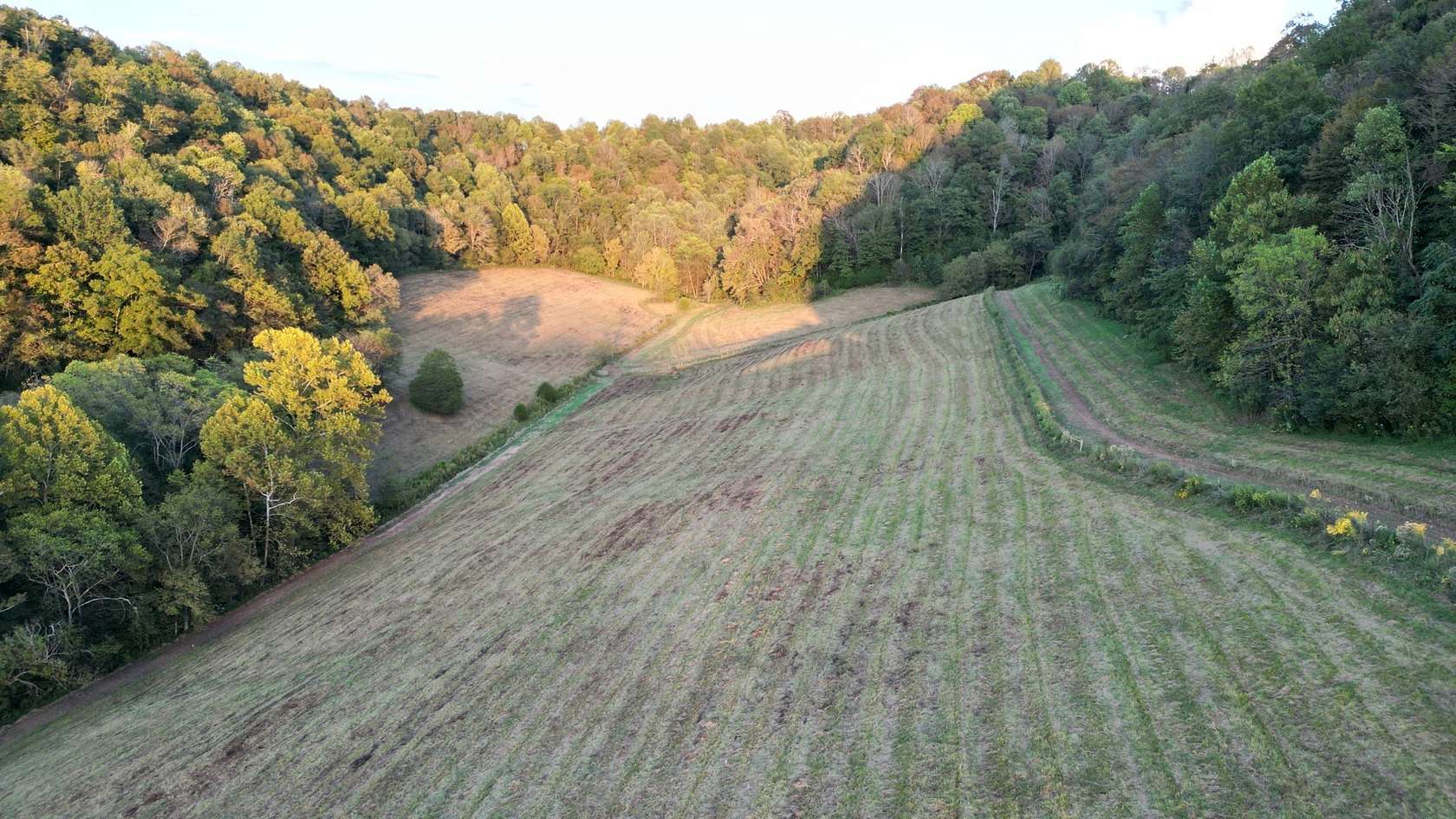 45.4 Acres of Land for Sale in Pleasant Shade, Tennessee
