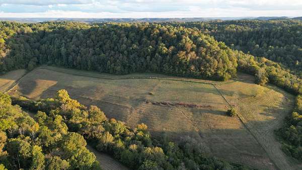 45.4 Acres of Land for Sale in Pleasant Shade, Tennessee