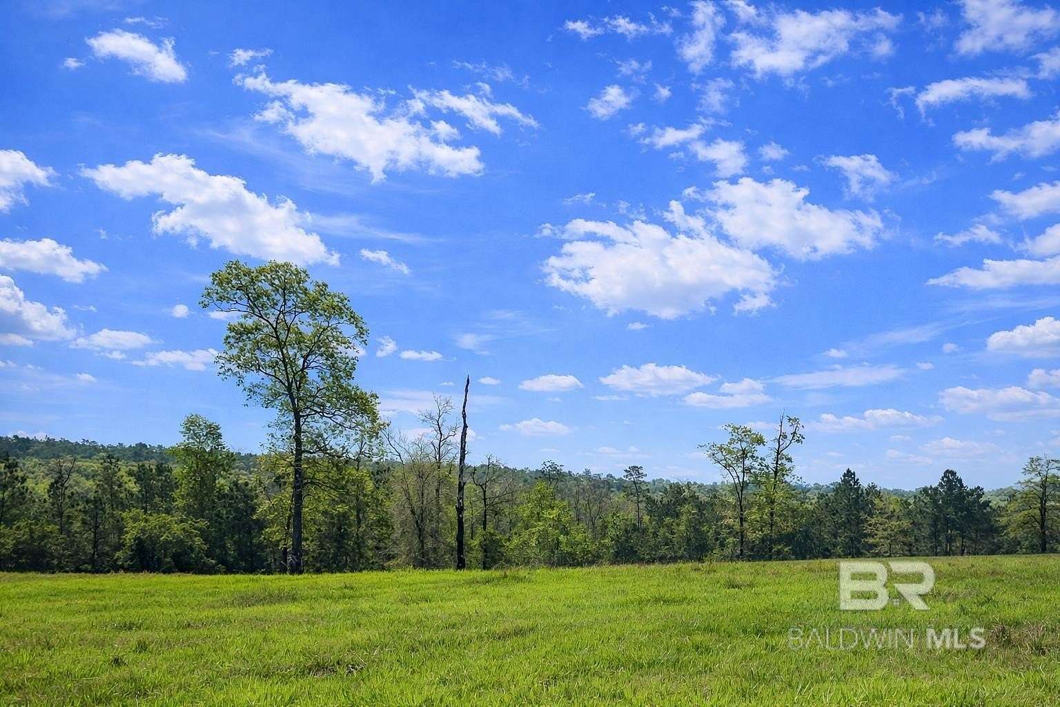 60 Acres of Land for Sale in Eight Mile, Alabama