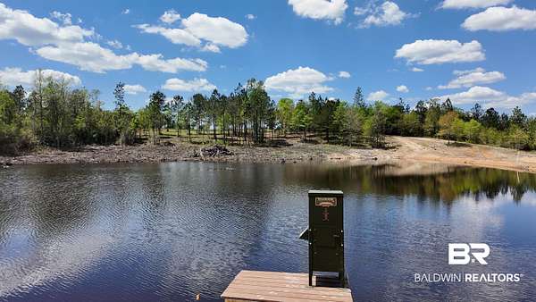 60 Acres of Land for Sale in Eight Mile, Alabama
