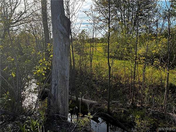 2.7 Acres of Residential Land for Sale in Lewiston, New York