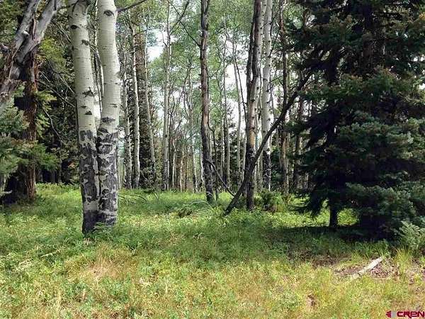 1 Acre of Land for Sale in Cimarron, Colorado