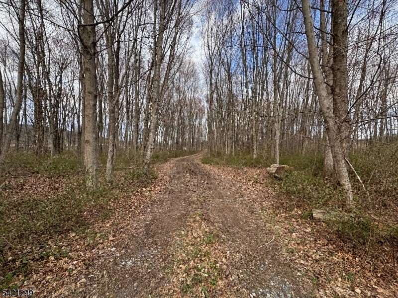 6.25 Acres of Residential Land for Sale in Washington Township, New Jersey