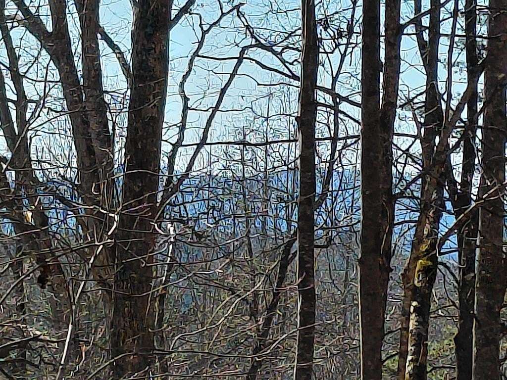 2 Acres of Residential Land for Sale in Franklin, North Carolina