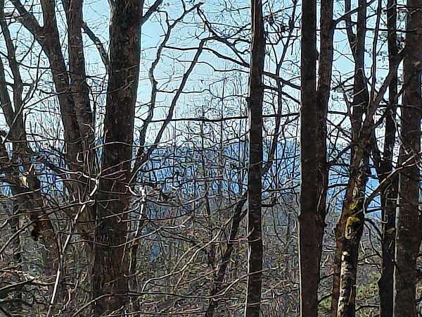 2 Acres of Residential Land for Sale in Franklin, North Carolina