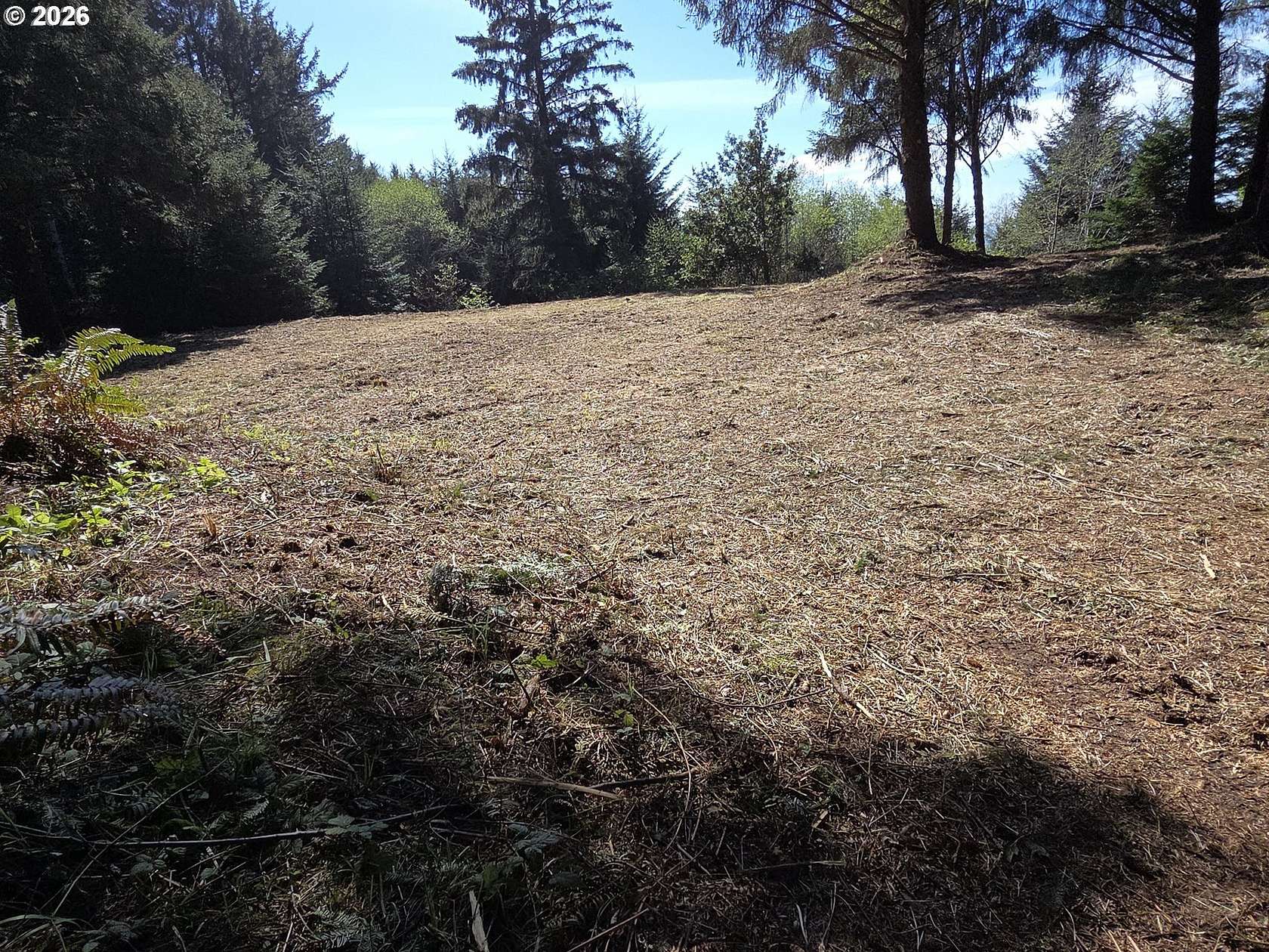 3.79 Acres of Residential Land for Sale in Gold Beach, Oregon