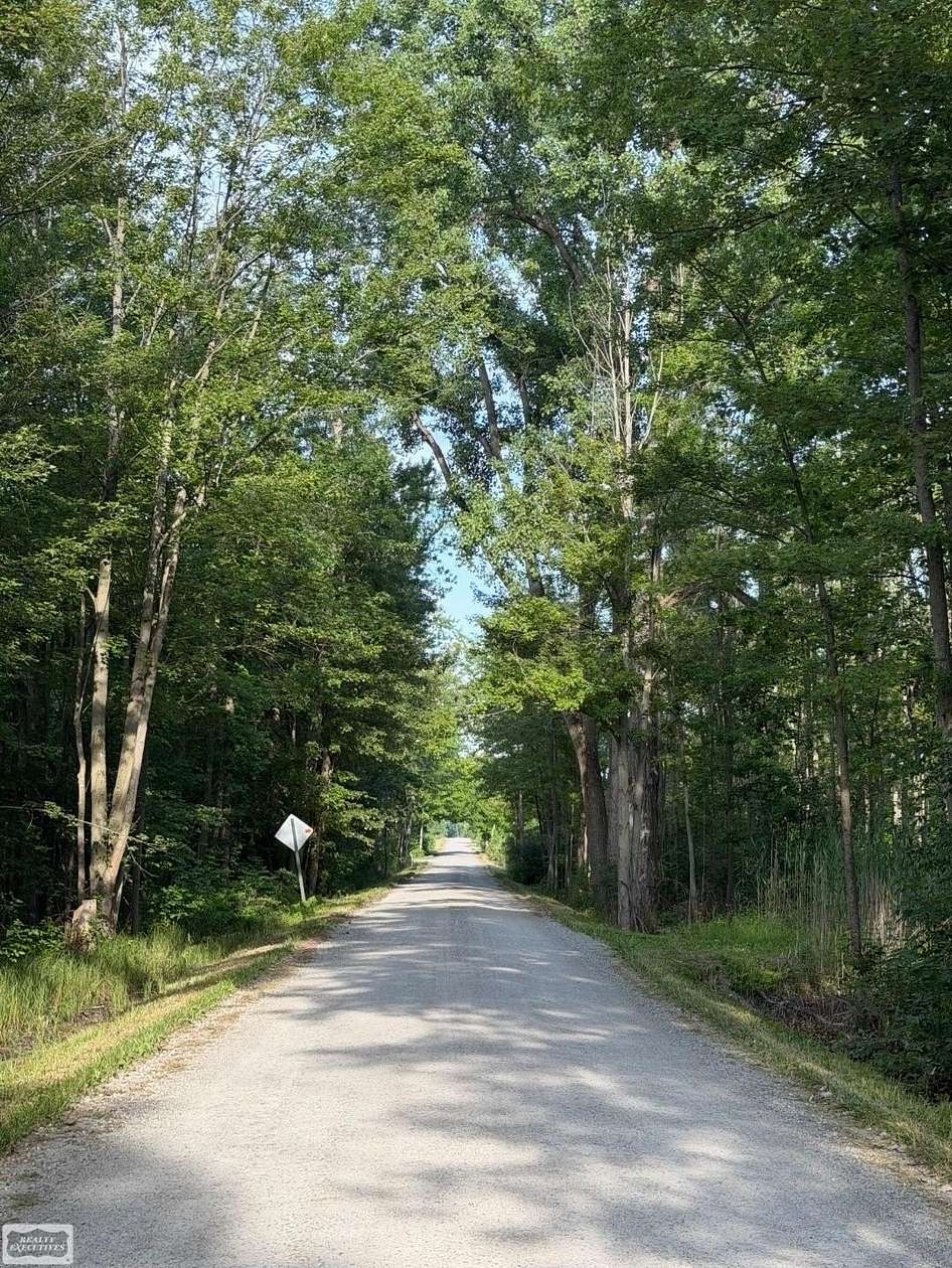 10 Acres of Land for Sale in Emmett, Michigan