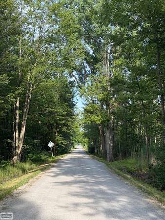 10 Acres of Land for Sale in Emmett, Michigan